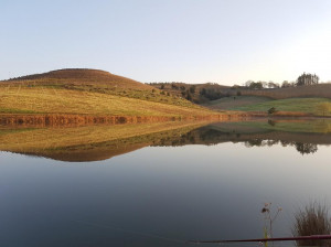  Vacation Hub International | Paul Wallace Wines & Cottages Food