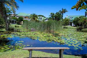 Vacation Hub International | 44 Riverclub Villas Food