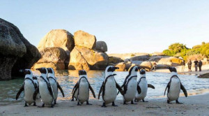  Vacation Hub International | A Boat House Food
