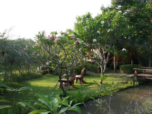  Vacation Hub International | Pura Vida Pai Resort Food