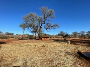  Vacation Hub International | Winterfell Lephalale Lodge Food