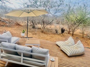  Vacation Hub International | Pumba Lodge Hoedspruit Food