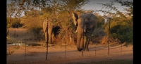 Vacation Hub International | Sambane Bush Lodge Lobby