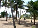  Vacation Hub International | Pozhiyoram Beach Resort Lobby