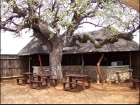  Vacation Hub International | Kwamahla Lodge Lobby
