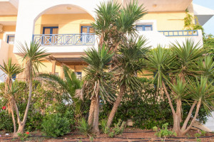  Vacation Hub International | Mikes Beach Lux Lobby