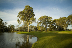 Vacation Hub International | Serafino McLaren Vale Lobby