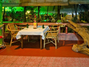  Vacation Hub International | Deep forest garden inn Lobby