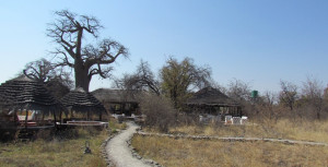  Vacation Hub International | Planet Baobab Lobby