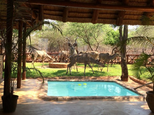  Vacation Hub International | Genet House Lobby