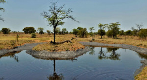  Vacation Hub International | Safari Plains Lobby