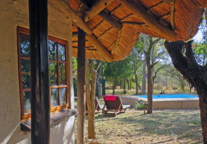  Vacation Hub International | Wild Dogs Safari Lodge Lobby