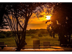  Vacation Hub International | Honeyguide Ranger Camp Lobby