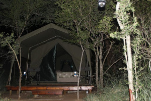  Vacation Hub International | Mzsingitana Tented Camp Lobby