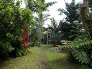  Vacation Hub International | Leopard Tree Lodge (Old Lalapanzi GH) Lobby