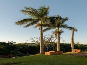  Vacation Hub International | Pelicans Pad @ St Lucia Lobby