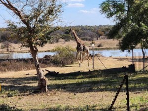  Vacation Hub International | Wild & Water Lobby
