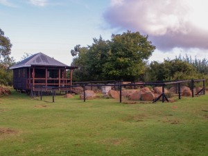  Vacation Hub International | Riverman Cabin Country Lodge Lobby