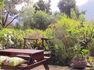  Vacation Hub International | Forest Nest Cottage Lobby