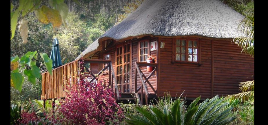 Vacation Hub International - VHI - Travel Club - Bananien Lodge