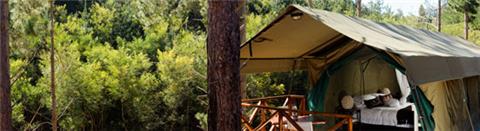 Vacation Hub International - VHI - Travel Club - Elgin Hills Tented Camp