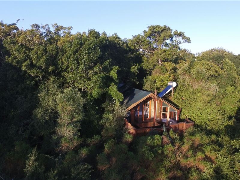 Vacation Hub International - VHI - Travel Club - Teniqua Treetops