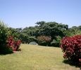 Vacation Hub International - VHI - Travel Club - Collins Collection