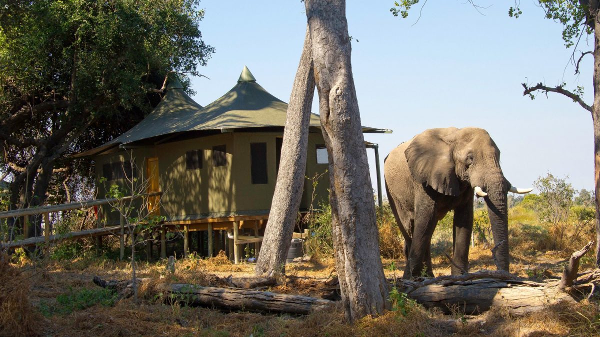 Vacation Hub International - VHI - Travel Club - Little Vumbura Camp