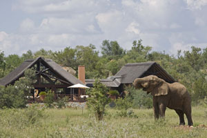 Vacation Hub International - VHI - Mateya Safari Lodge