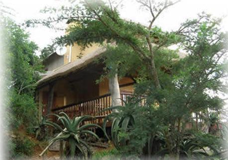 Vacation Hub International - VHI - Travel Club - Leopards And Louries Bush Lodge And Safaris
