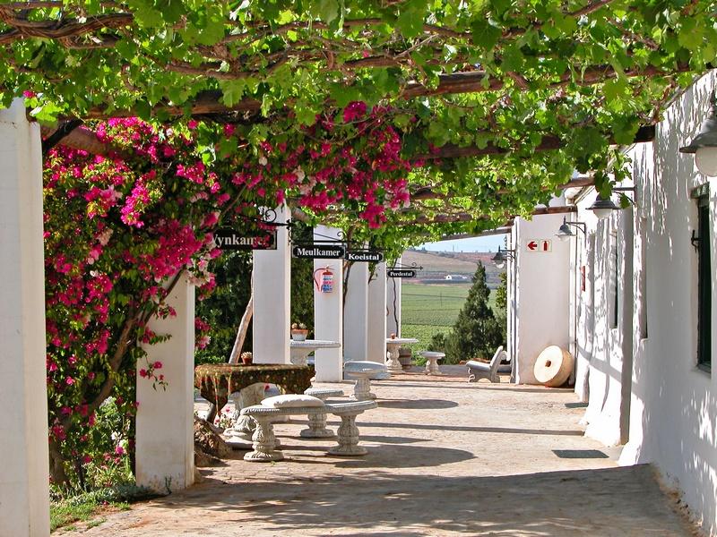 Vacation Hub International - VHI - Travel Club - Melkboomsdrift Guest Lodge & Conference Centre