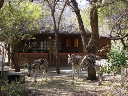 Vacation Hub International - VHI - Travel Club - Marloth Park