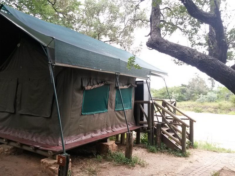 Vacation Hub International - VHI - Tamboti Satellite Camp