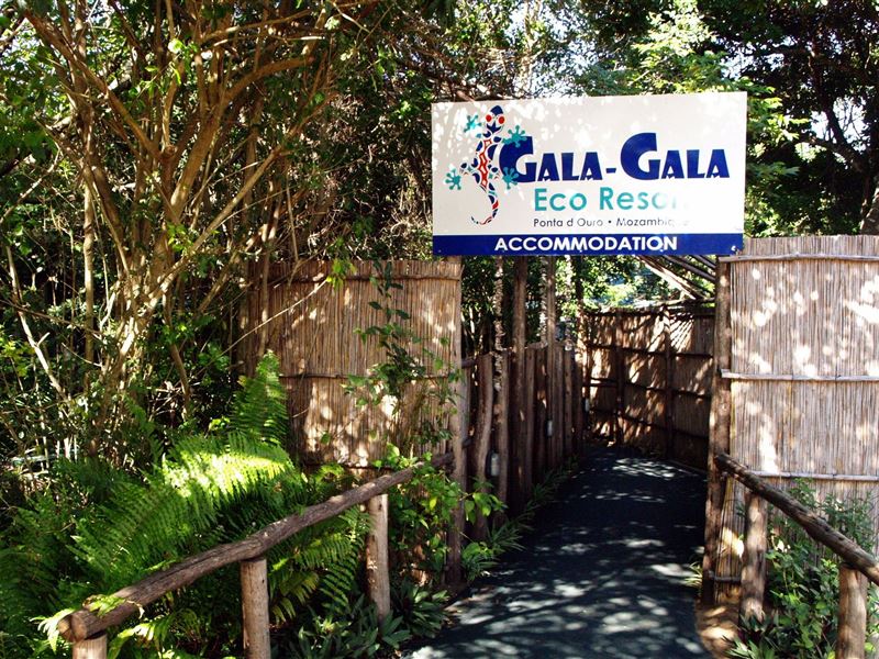 Vacation Hub International - VHI - Travel Club - Gala Gala Eco Resort