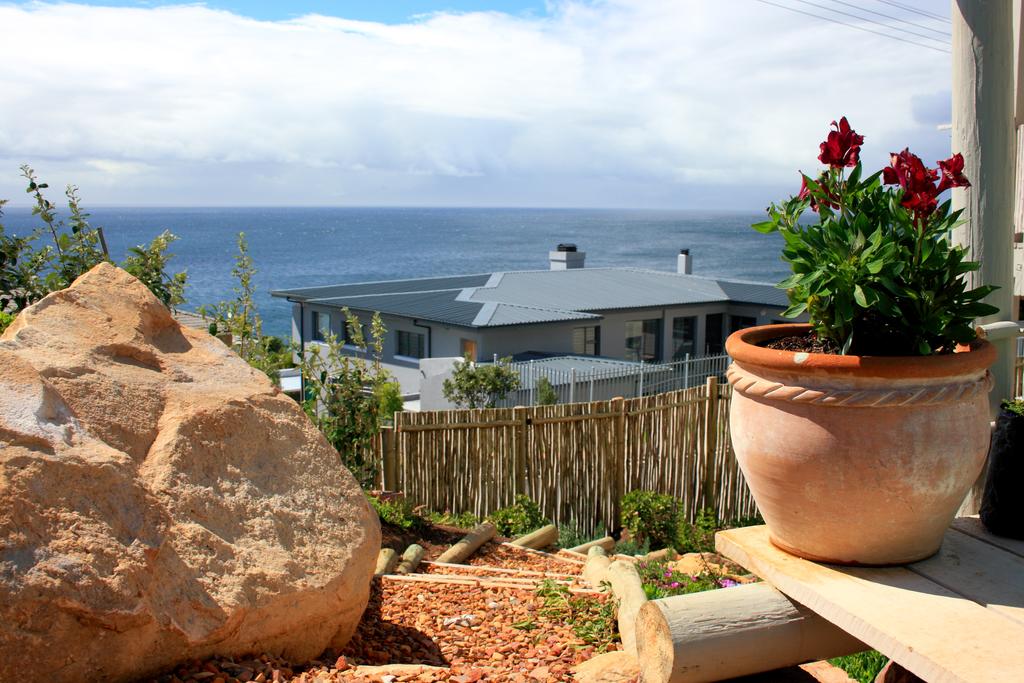 Vacation Hub International - VHI - The Flying Penguin