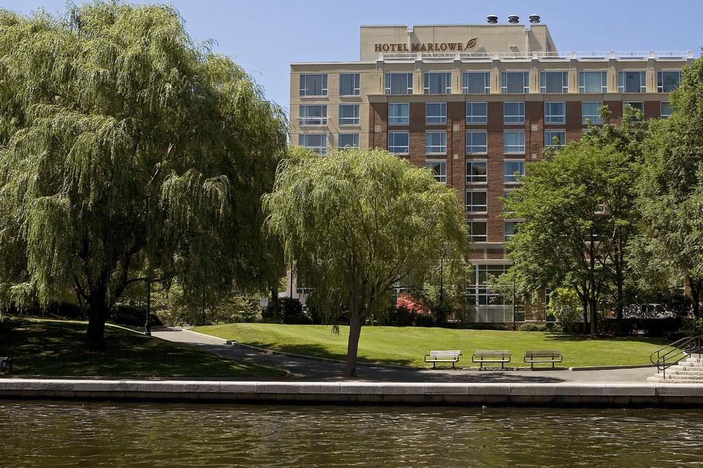 Vacation Hub International - VHI - Travel Club - Kimpton Marlowe Hotel