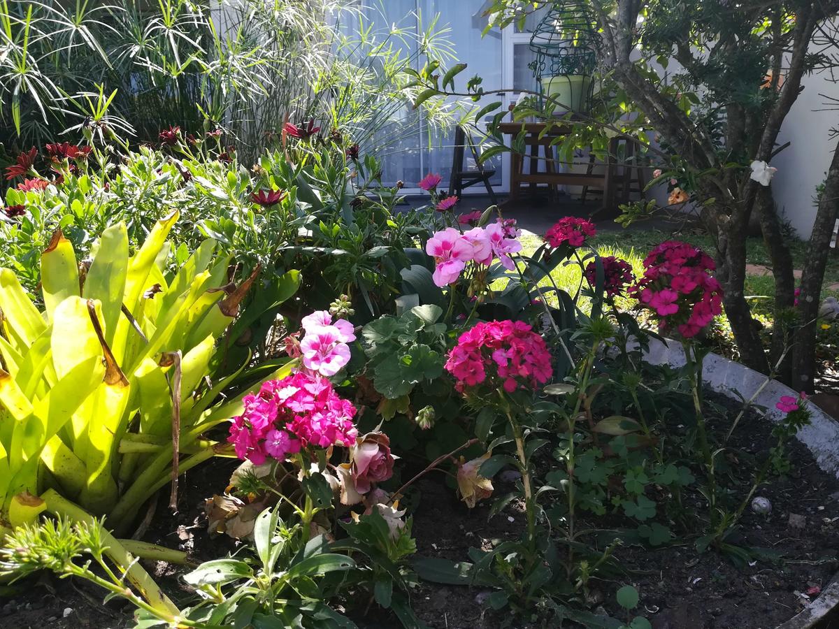 Vacation Hub International - VHI - Travel Club - The Coelacanth Guesthouse