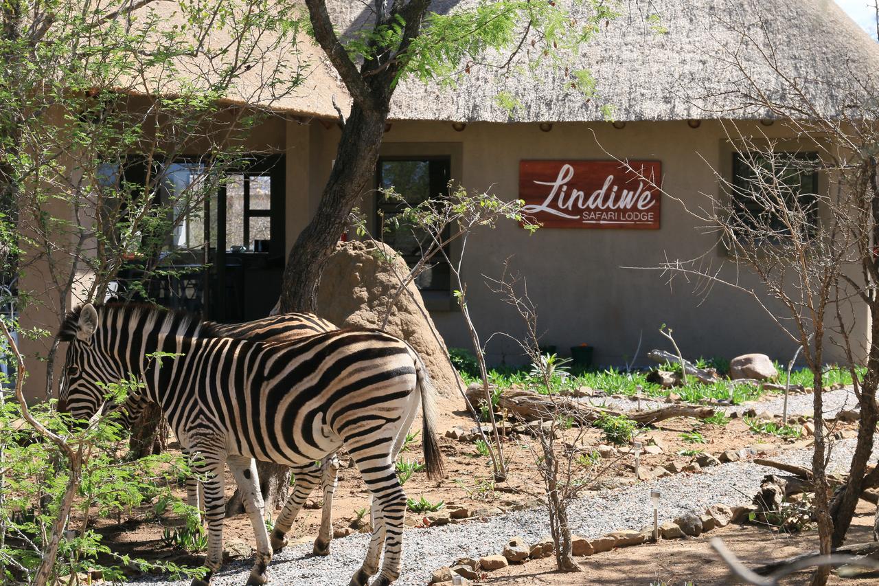 Vacation Hub International - VHI - Lindiwe Safari Lodge