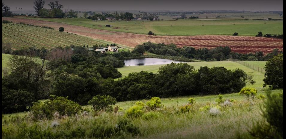 Vacation Hub International - VHI - Travel Club - Hakuna Matata Game Farm