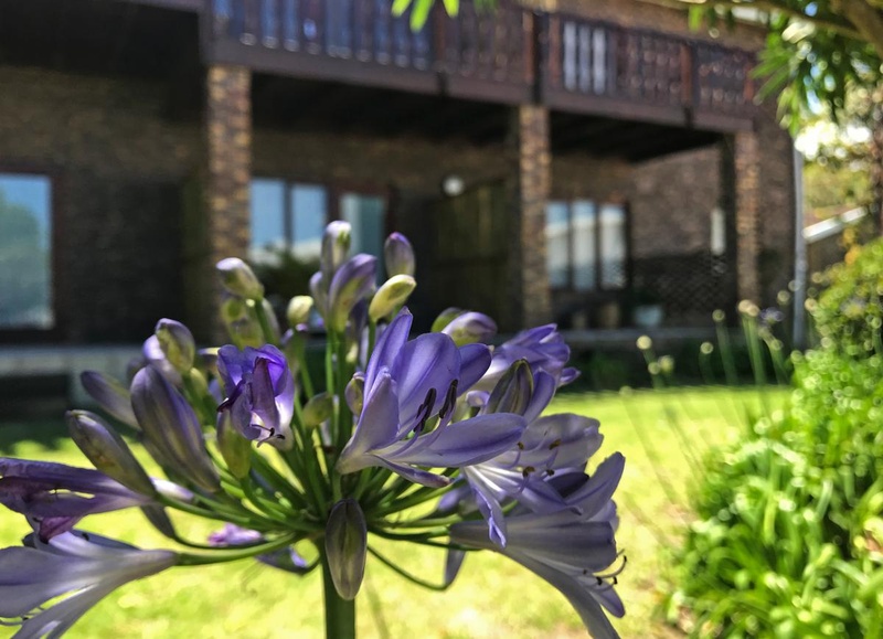 Vacation Hub International - VHI - Travel Club - Plett Beacon House