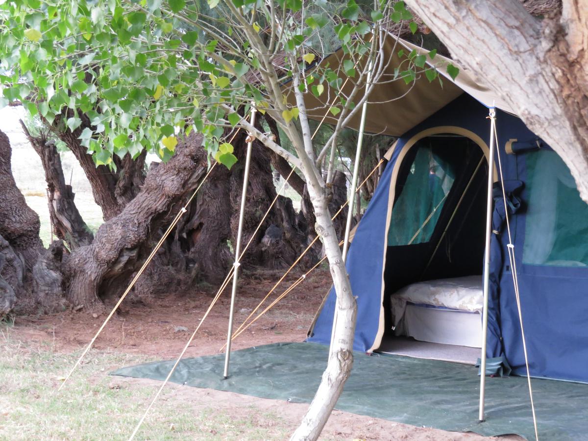 Vacation Hub International - VHI - Travel Club - Karoo Gariep Nature Reserve