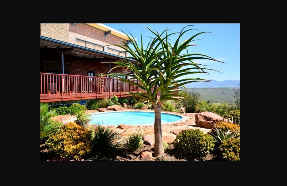 Vacation Hub International - VHI - Travel Club - Wolwedans Game Farm