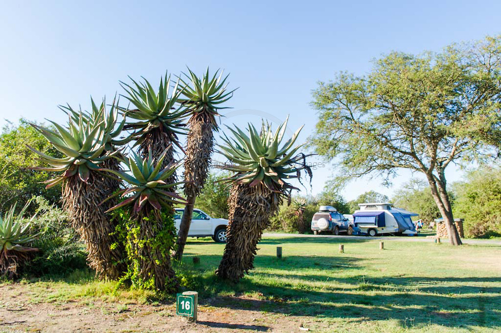 Vacation Hub International - VHI - Travel Club - Bontebok National Park