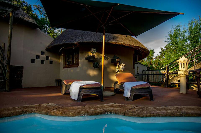 Vacation Hub International - VHI - Travel Club - Khululeka Bushveld Guest Farm - house hornbill