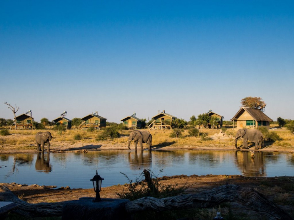Vacation Hub International - VHI - Travel Club - Elephant Sands Lodge