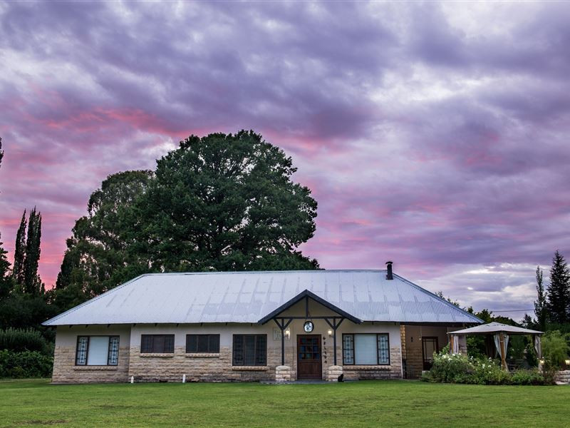 Vacation Hub International - VHI - Travel Club - Between The Trees