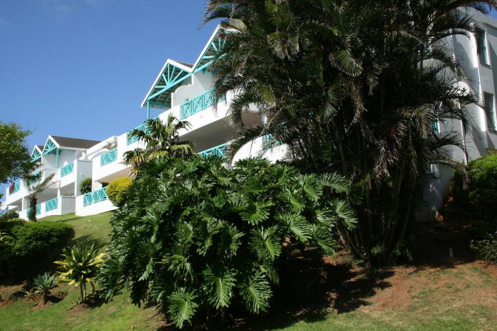 Vacation Hub International - VHI - Travel Club - 9 Aruba