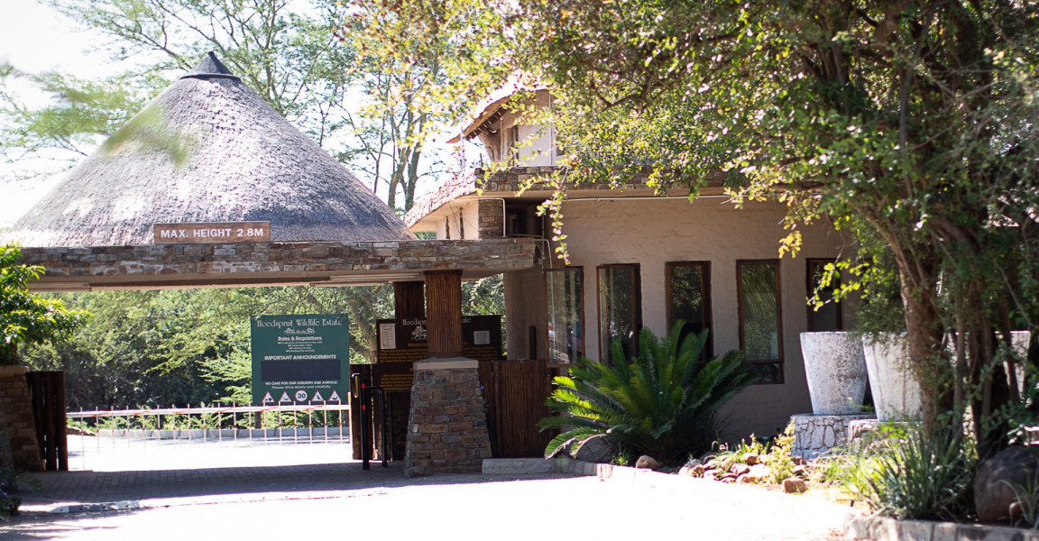 Vacation Hub International - VHI - Travel Club - Shongane Safaris