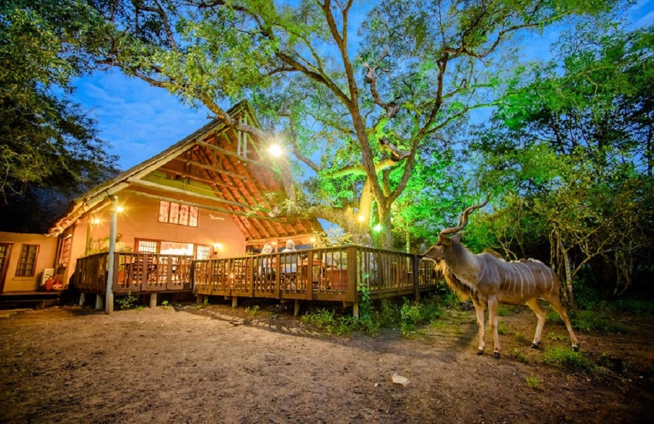 Vacation Hub International - VHI - Travel Club - Needles Safari Lodge