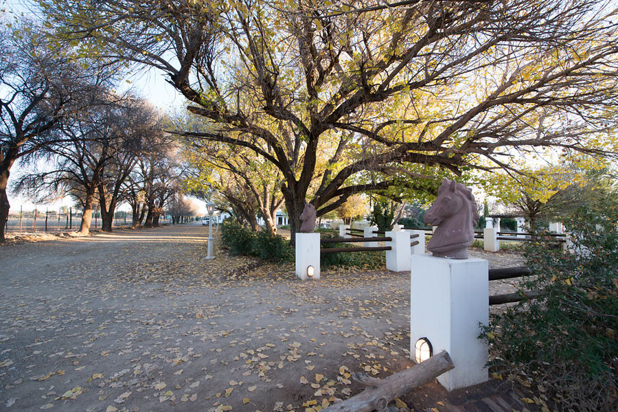 Vacation Hub International - VHI - Travel Club - New Holme Karoo Guest Farm